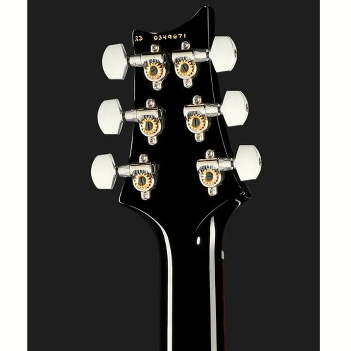 Prs Special Semi Hollow 22 Cc Pt
