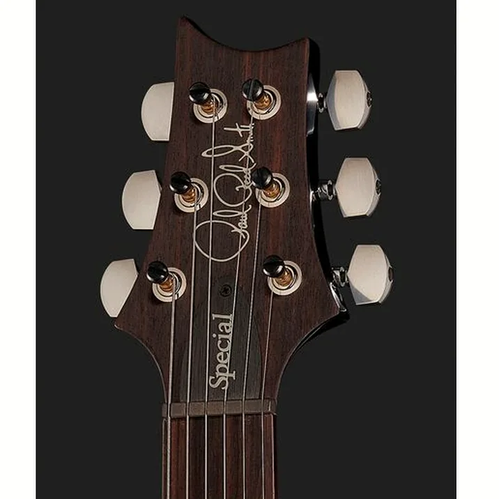 Prs Special Semi Hollow Cb