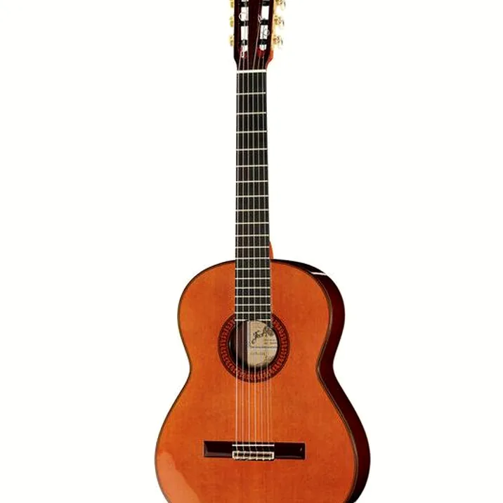Ramirez Tradicional 1A w. case