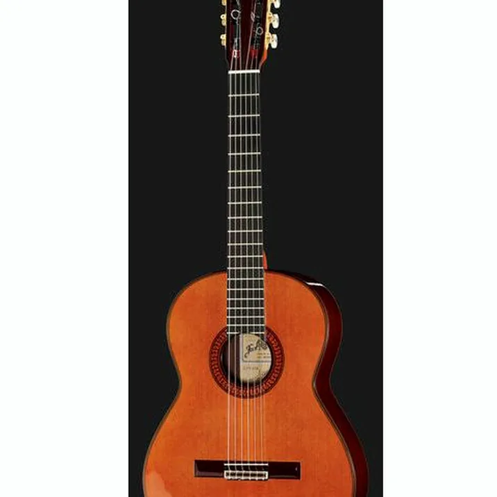 Ramirez Tradicional 1A w. case