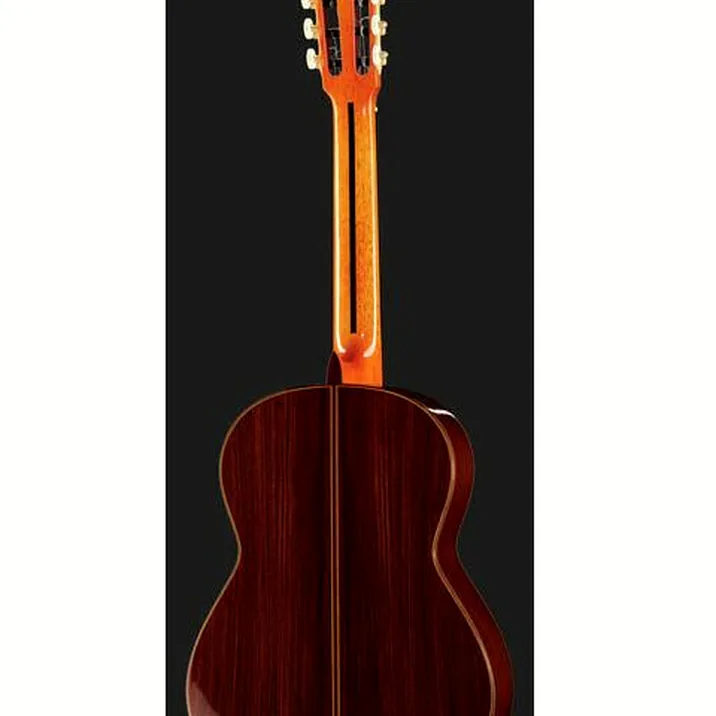 Ramirez Tradicional 1A w. case