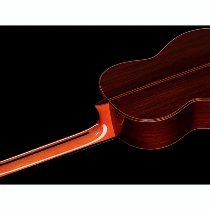 Ramirez C650A Tradicional 1A Wcase