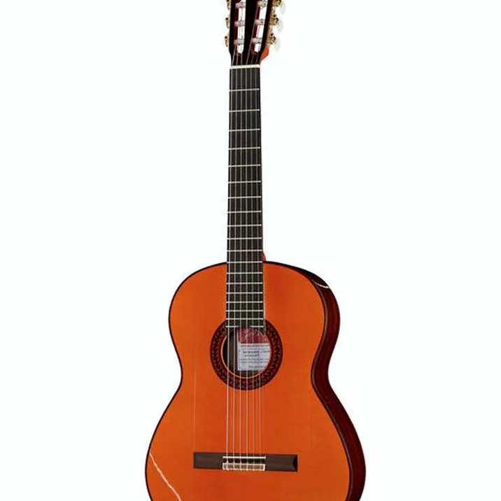 Ramirez Estudio Flamenco Palosanto