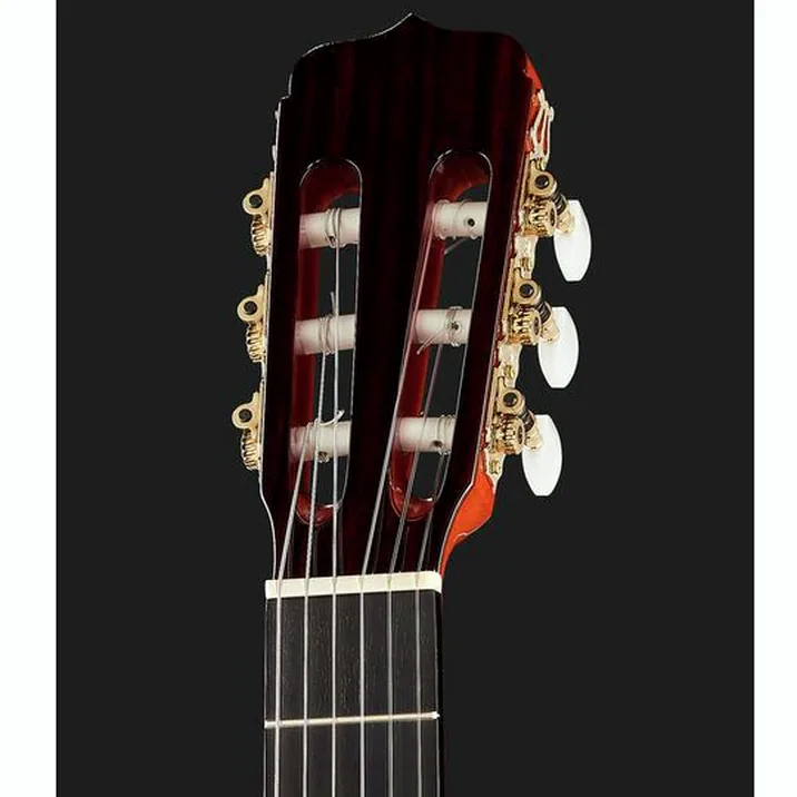 Ramirez Estudio Flamenco Palosanto