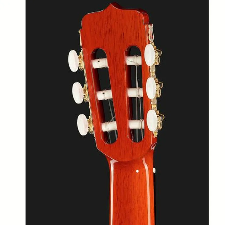 Ramirez Estudio Flamenco Palosanto