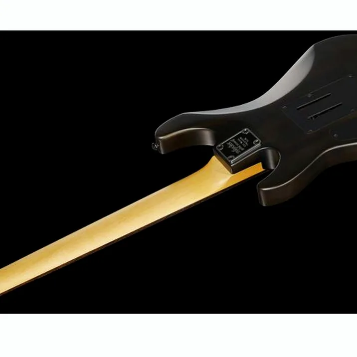 Schecter 70th Anniv. Demon-7 ASB