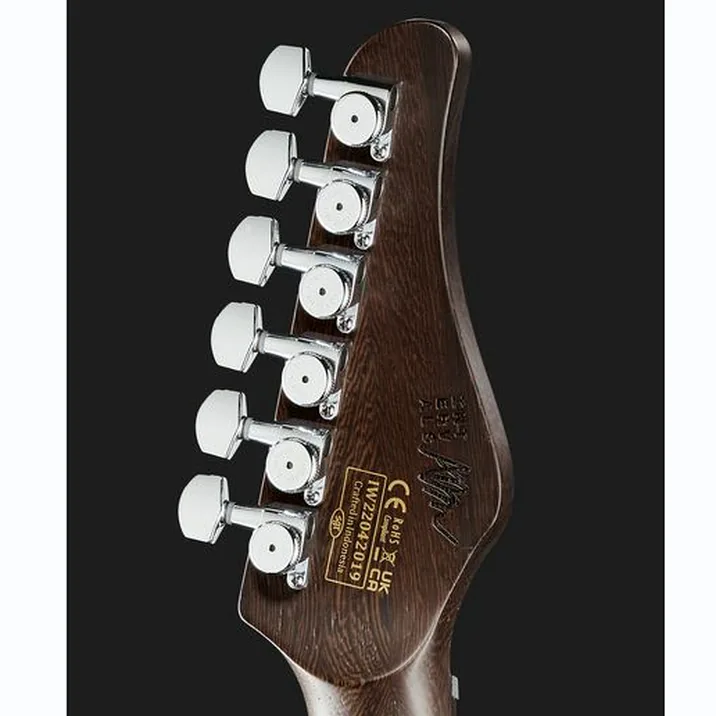 Schecter Aaron Marshall Am 6 Aj