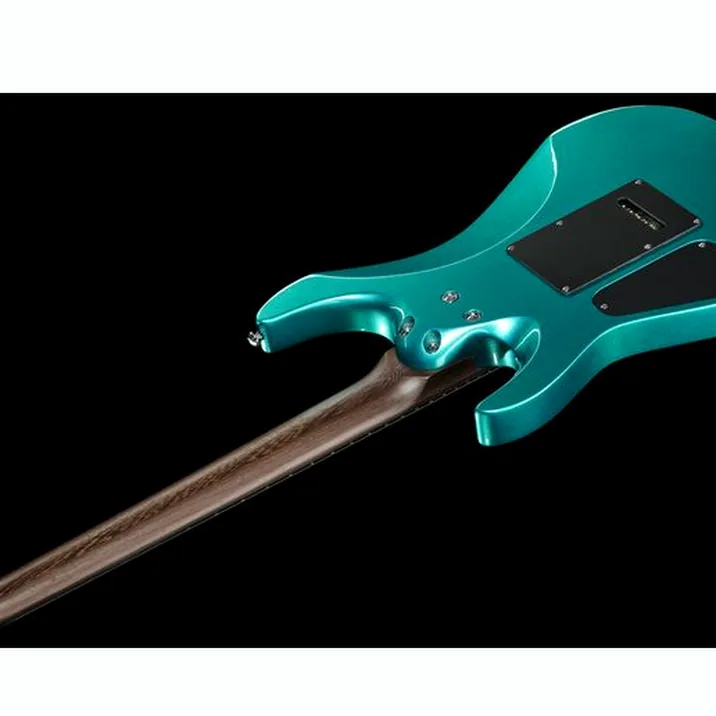 Schecter Aaron Marshall Am 6 Aj