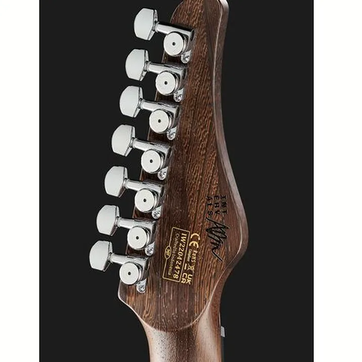Schecter Aaron Marshall Am 7 Cs