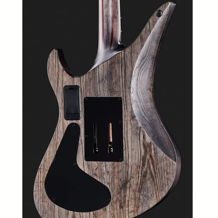Schecter Apocalypse Avenger Fr S Br