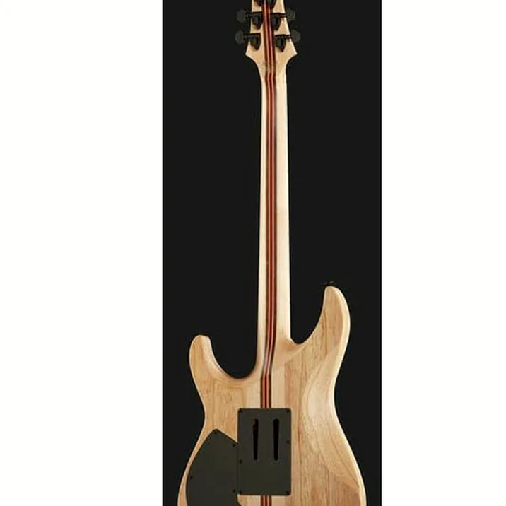 Schecter C-1 SLS Elite FR S AFB