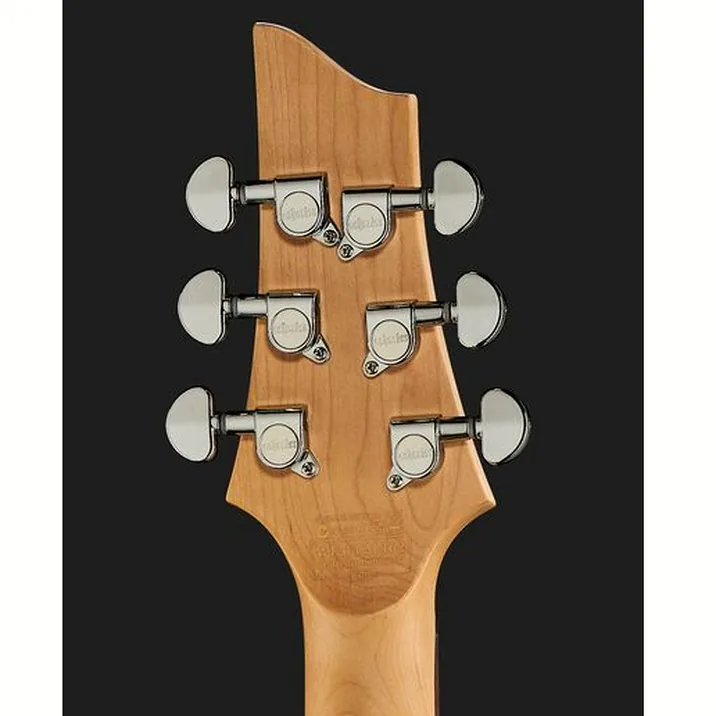 Schecter C 6 Deluxe Sbk