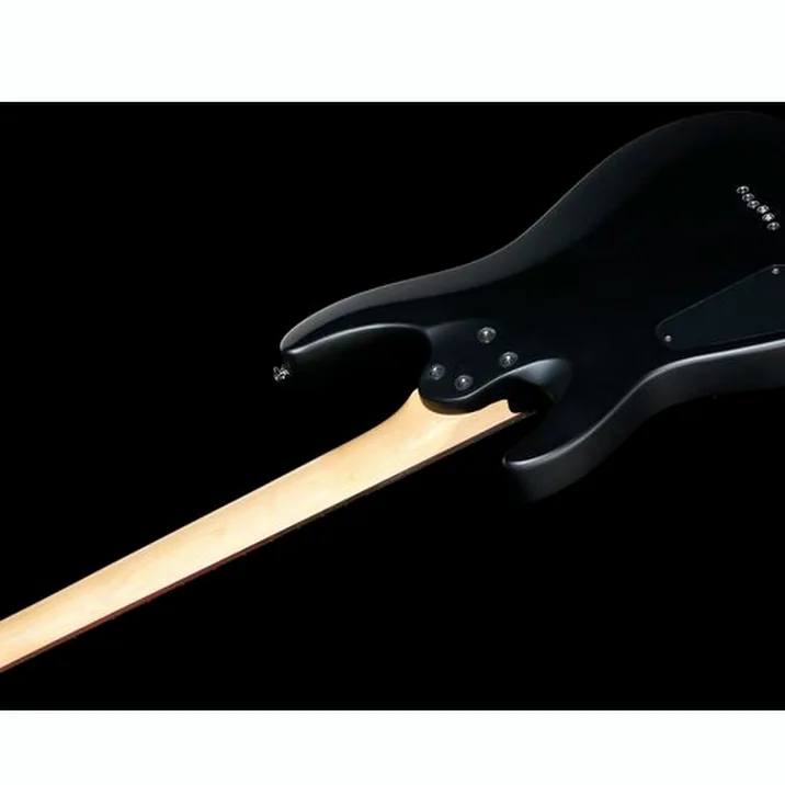 Schecter C 6 Deluxe Sbk