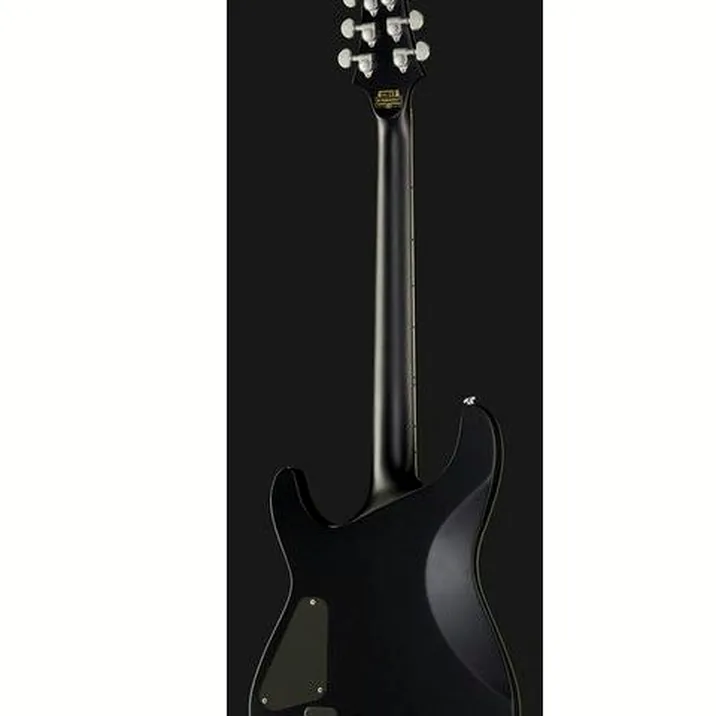 Schecter Damien Platinum 6 SBK