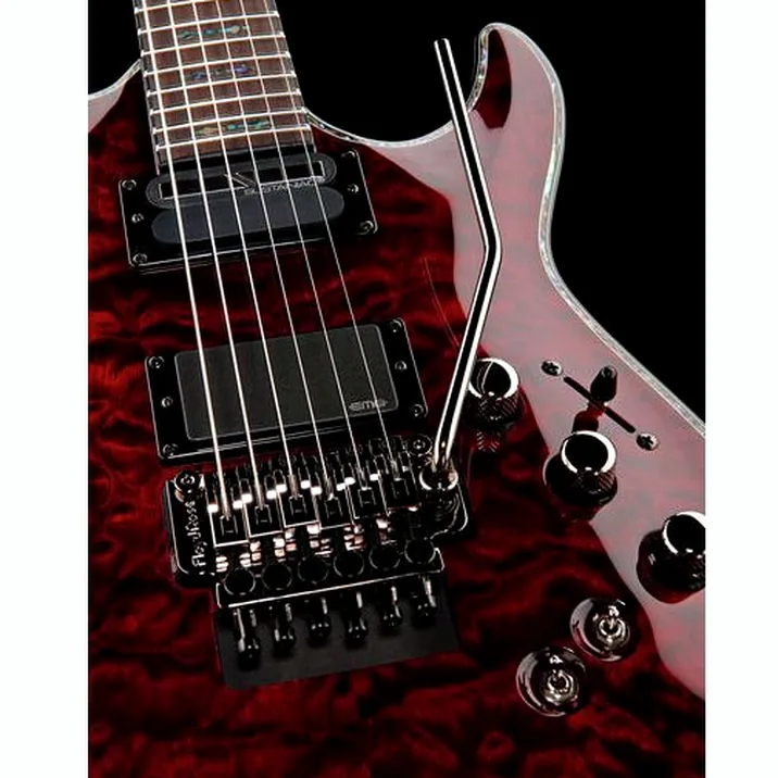 Schecter Hellraiser C1 Fr S Bch