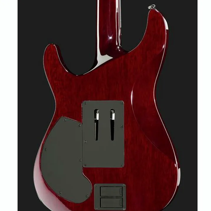 Schecter Hellraiser C1 Fr S Bch