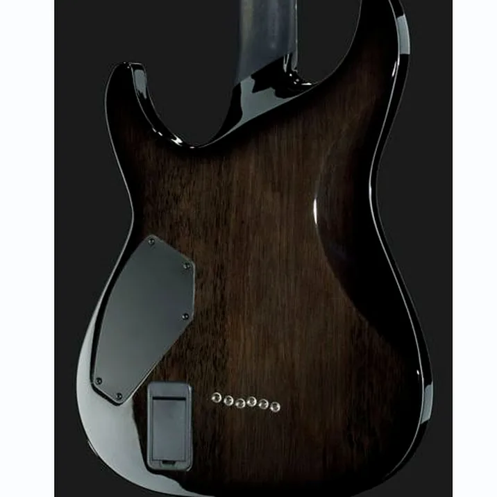 Schecter Hellraiser Hybrid C 1 Tbb