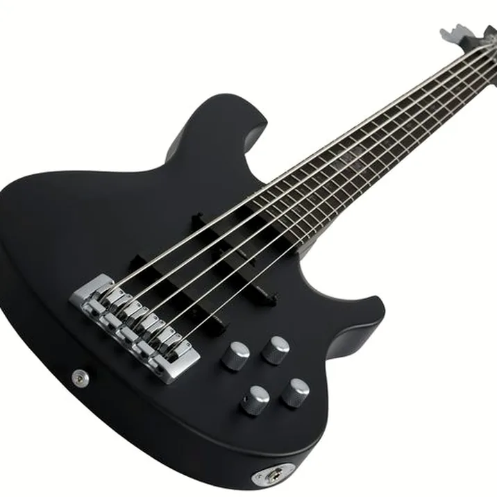 Schecter Johnny Christ Bass 5 SB