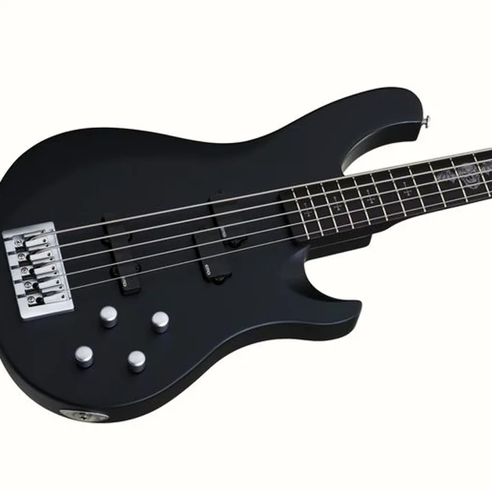 Schecter Johnny Christ Bass 5 Sb