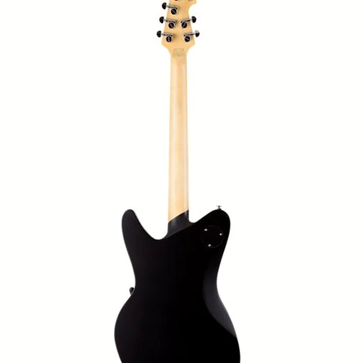 Schecter Robert Smith UltraCure BLK