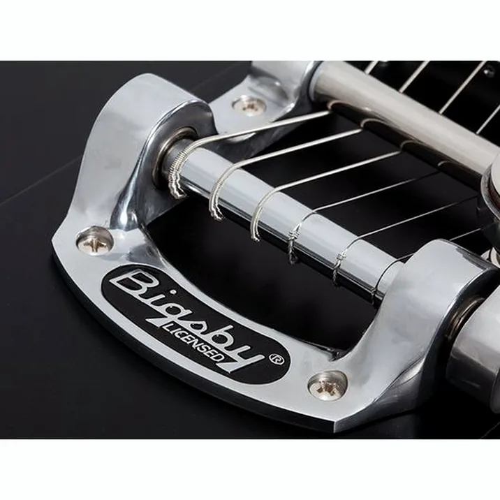 Schecter Robert Smith Ultracure Vi Blk