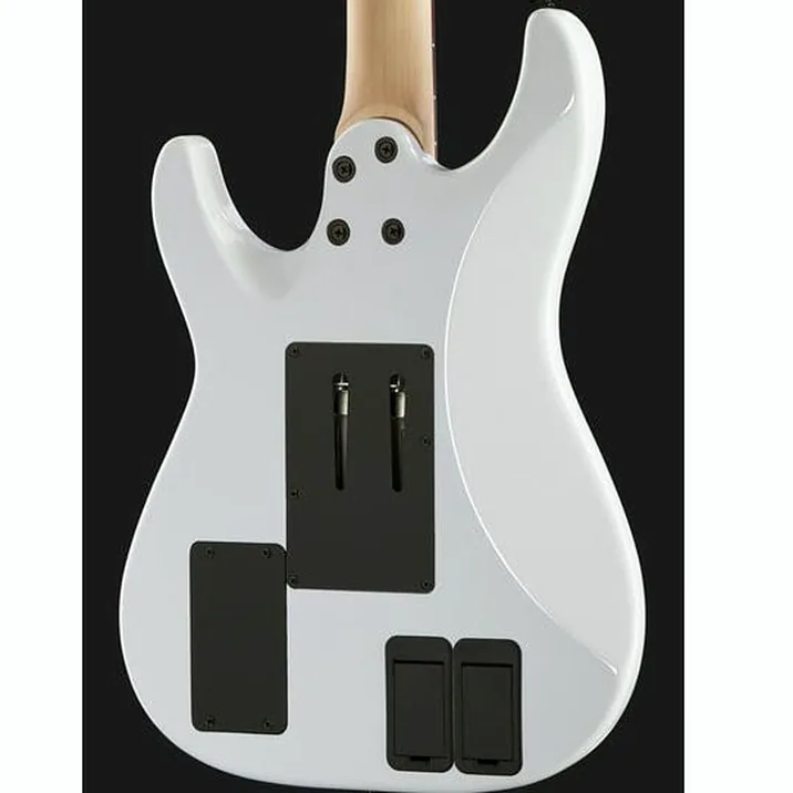 Schecter Sun Valley Super Shredder Fr S 2