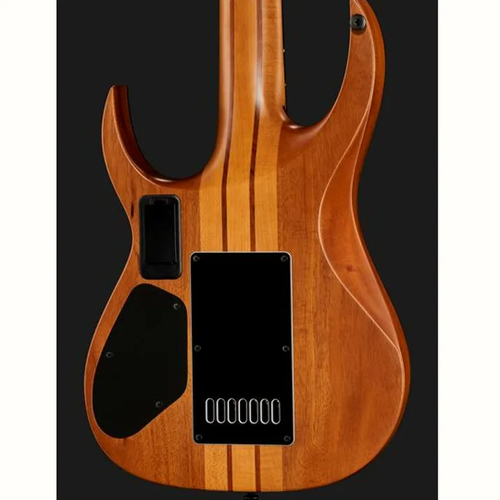 Solar Guitars S1 7App Poplar Purple Burst