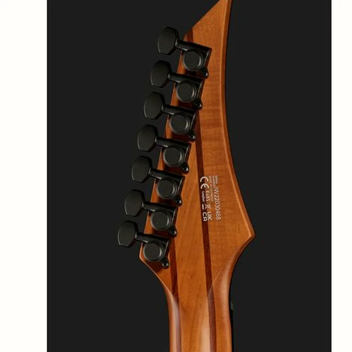 Solar Guitars S1 7App Poplar Purple Burst