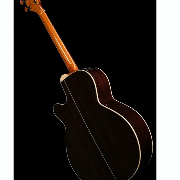 Takamine DSF48C