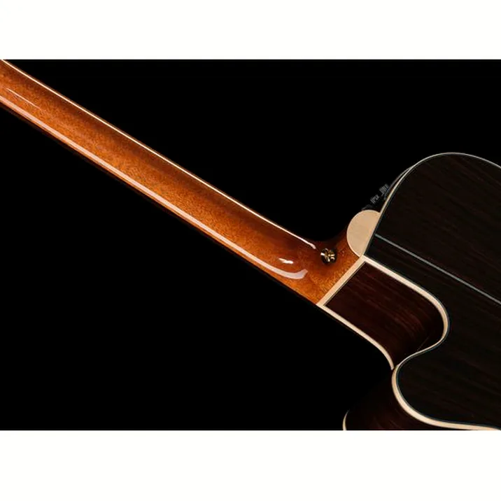 Takamine DSF48C