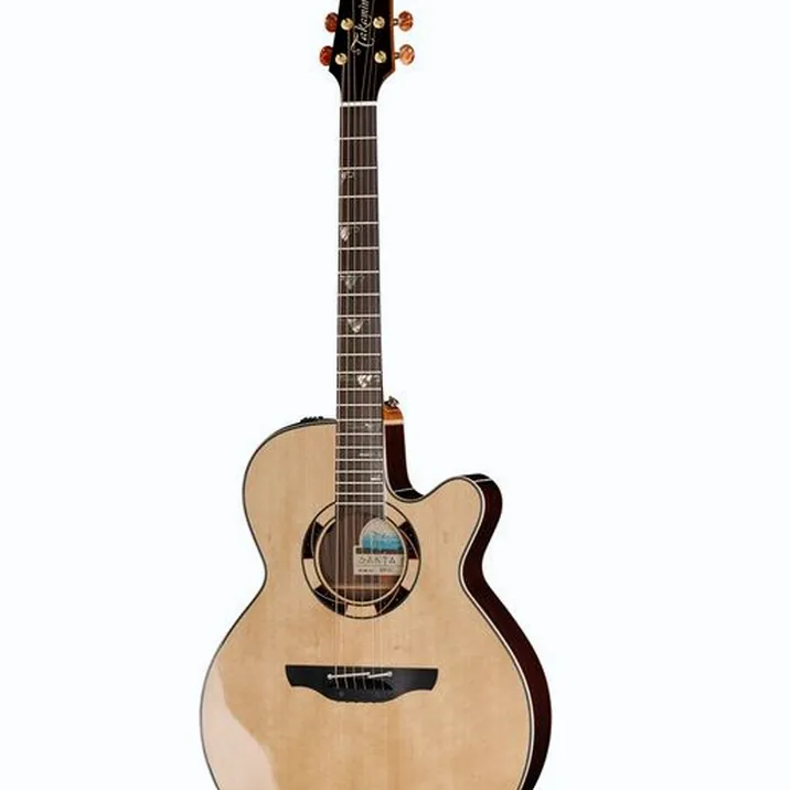 Takamine DSF48C