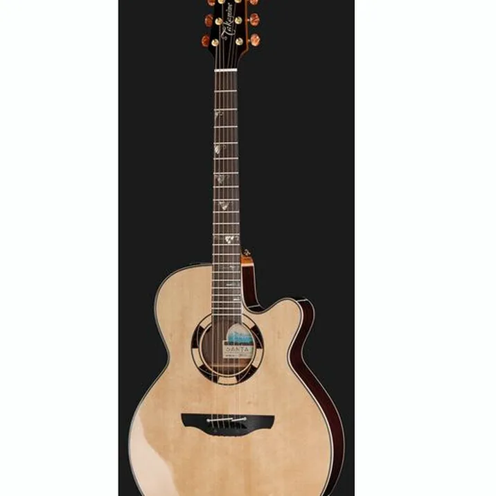 Takamine DSF48C