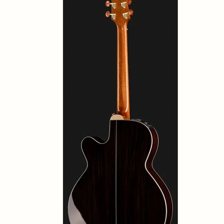 Takamine DSF48C
