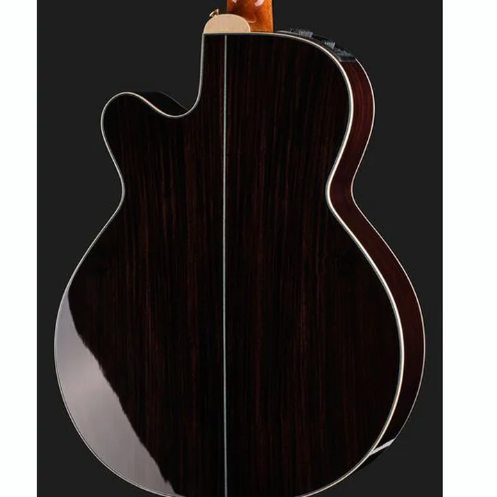 Takamine DSF48C