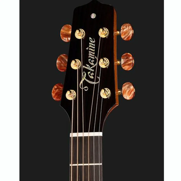Takamine DSF48C