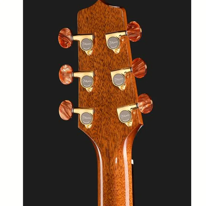Takamine DSF48C
