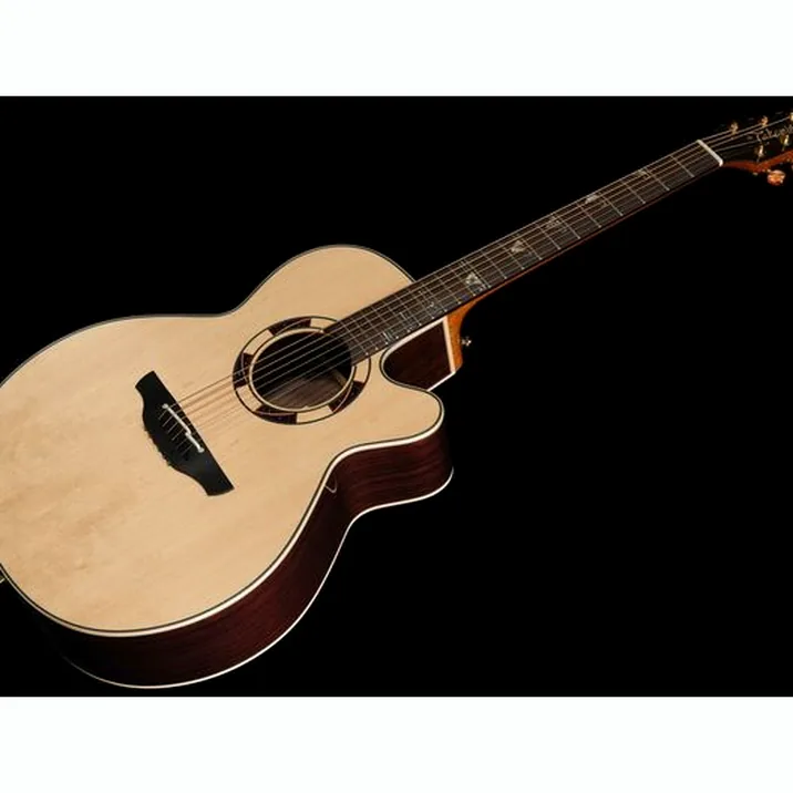 Takamine DSF48C