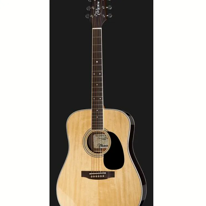 Takamine EF360GF Glenn Frey w/Softcase