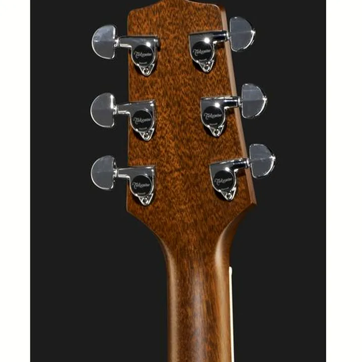 Takamine Ef360Gf Glenn Frey W Softcase