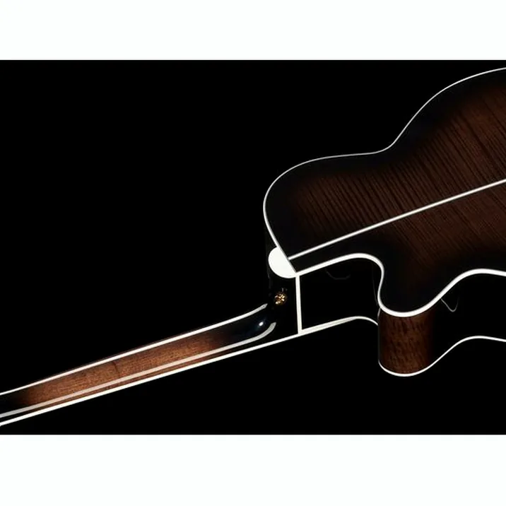 Takamine Ef450C Tt Tbb W Softcase