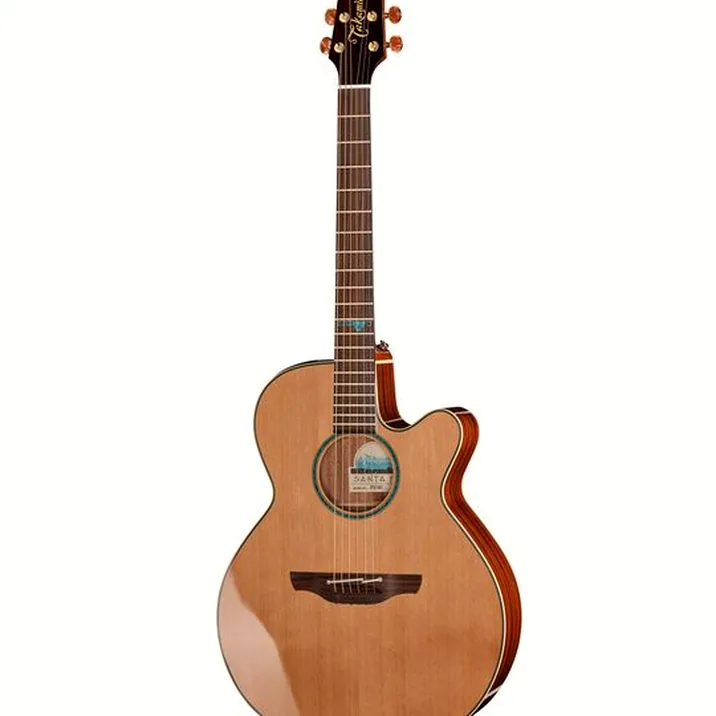 Takamine FSF40C
