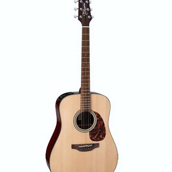 Takamine FT340BS
