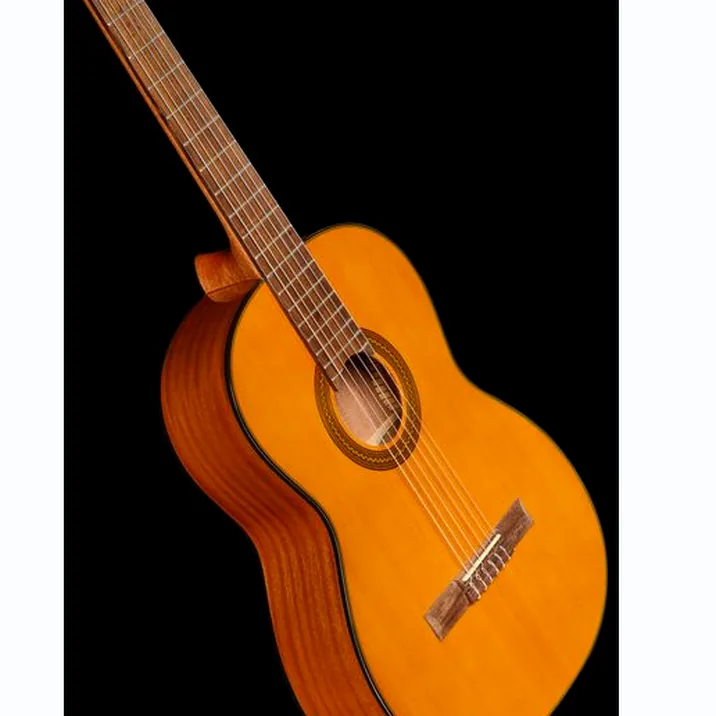 Takamine GC1-NAT