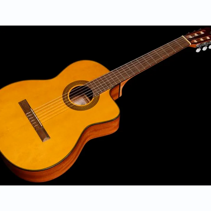 Takamine GC1CE-Nat