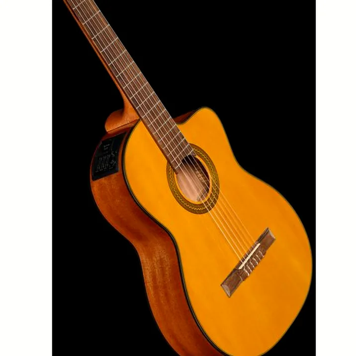 Takamine GC1CE-Nat