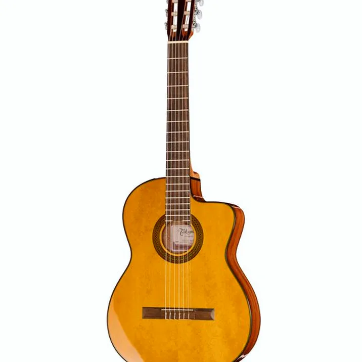 Takamine GC1CE-Nat