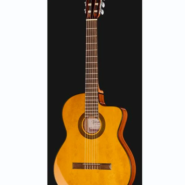 Takamine GC1CE-Nat