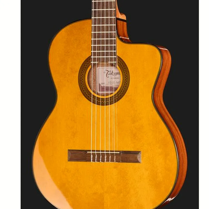 Takamine GC1CE-Nat