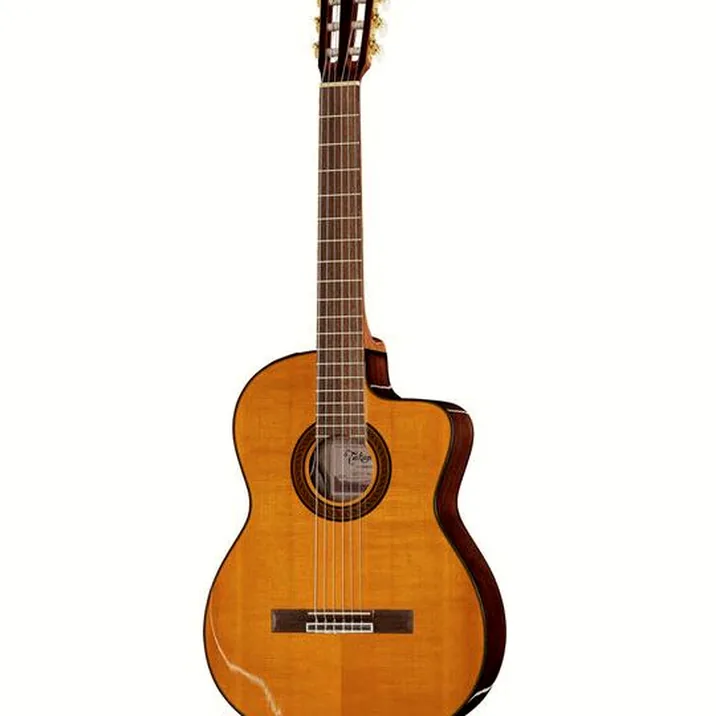 Takamine GC5CE Natur