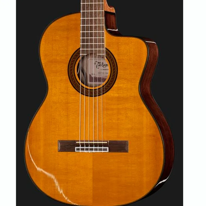 Takamine Gc5Ce Natur W Bag